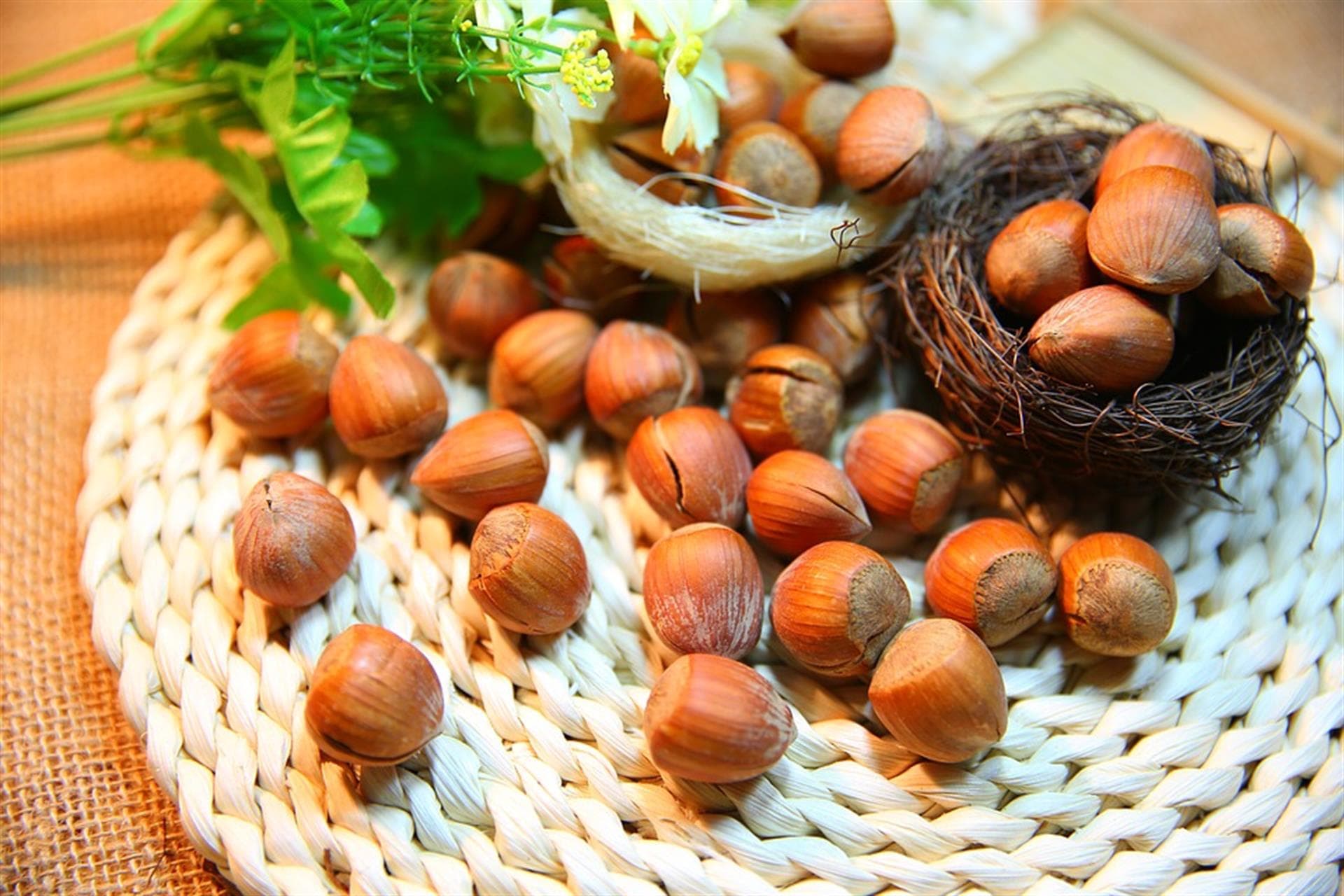 Nocciole